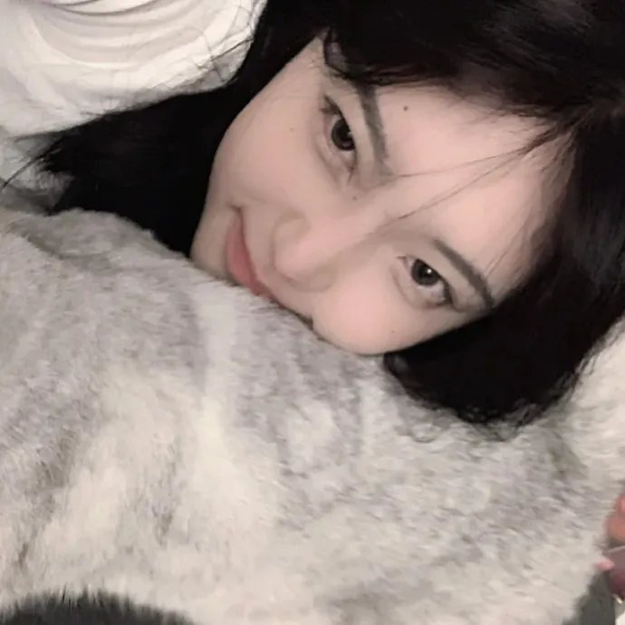 猪太狼的夏天